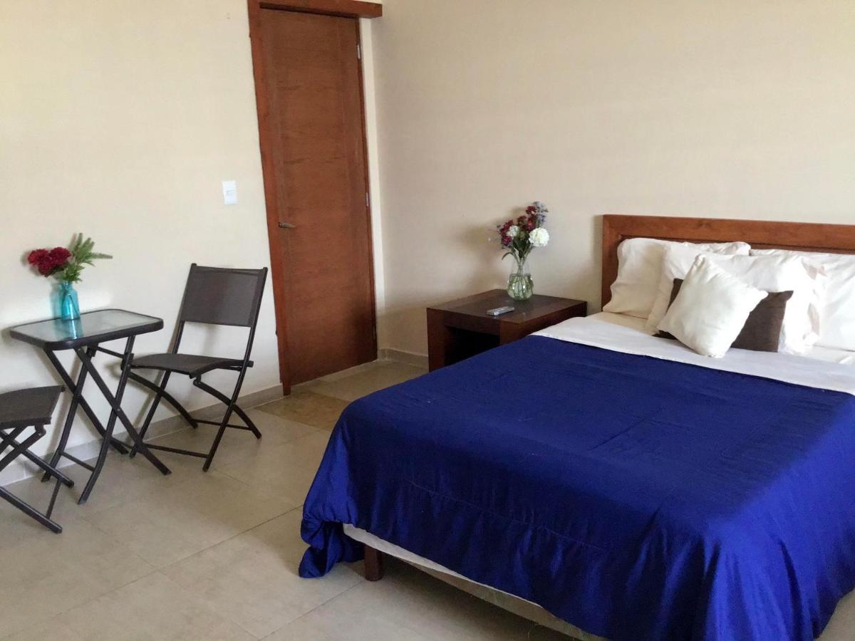 Bed And Breakfast Pecari Cancún Exteriér fotografie